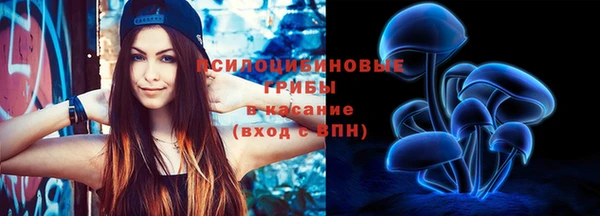 МДПВ Белокуриха