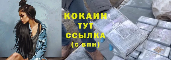 гашик Богородицк