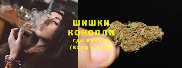 прущие грибы Беломорск
