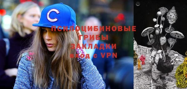 МДПВ Белокуриха