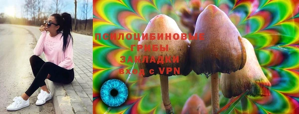 гашик Богородицк
