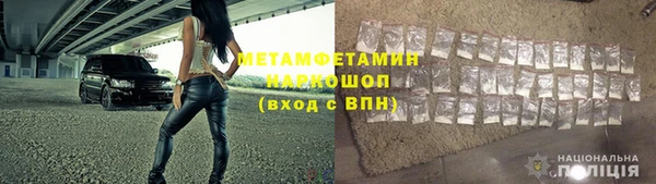 прущие грибы Беломорск