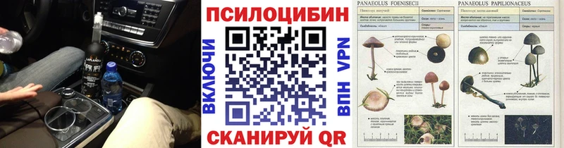 Псилоцибиновые грибы MAGIC MUSHROOMS МЕГА рабочий сайт Воркута